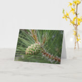 De Spatie van de Kaart van de Denneappel van (Gele Bloem)