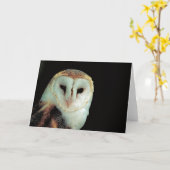 De Spatie van de Uil van de schuur binnen Alle Kaart (Gele Bloem)