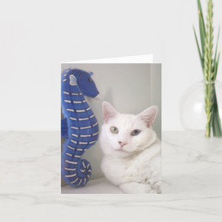 De Spatie van het wenskaart binnen Kaart