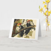 De Specht van Pileated, John James Audubon Kaart (Gele Bloem)