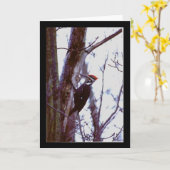 De Specht van Pileated Kaart (Gele Bloem)