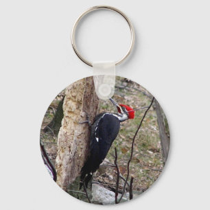 De Specht van Pileated Sleutelhanger