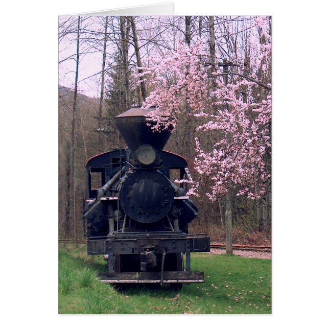 DE SPECIALE CHERRY BLOSSOM VAN SHARON SHARPE (Voorkant)