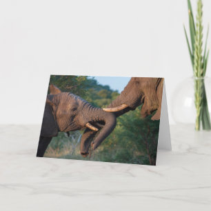 De Speelkaart van olifanten Kaart