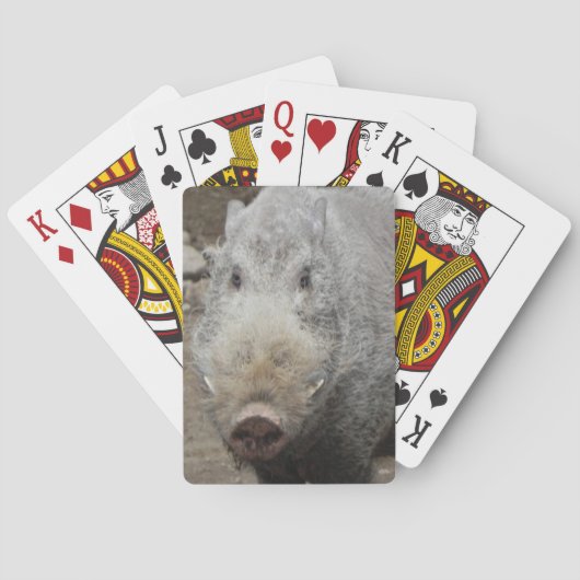 De Speelkaarten van het Gezicht van de pook (Achterkant)