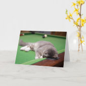 De SpeelPool van het katje Kaart (Gele Bloem)