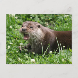 De speelse geest van de Euraziatische otter Briefkaart