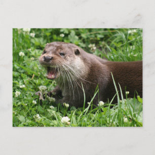 De speelse geest van de Euraziatische otter Briefkaart