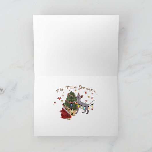 De Spelen van het Katje van Sphynx met de Kaarten (Binnen)