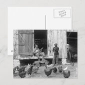 De Speler van de Banjo van het boerenerf, 1927 Briefkaart (Voorkant / Achterkant)