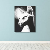De Sphynx Cat Haarloos Kat Zwart Wit Schilderij Canvas Afdruk (Insitu (Houten vloer))