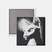 De Sphynx Cat originele kunstmagneet Magneet (Voorkant / Achterkant)