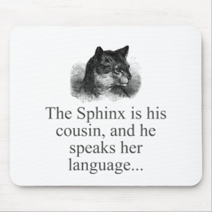De Sphynx is zijn neef Muismat