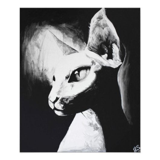 De Sphynx Kat Feline Originele Kunst Foto Afdruk (Voorkant)