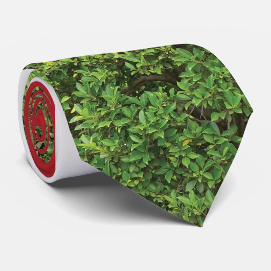 De Spicer Stropdas (Opgerold)