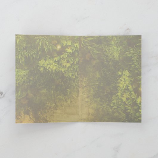 de spiegel kaart (Binnen)