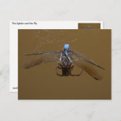 De spin en de (Vuur) vlucht Briefkaart (Voorkant / Achterkant)