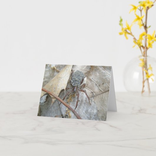 De Spin van de wolf met Babys op de AchterKaart Kaart (Gele Bloem)