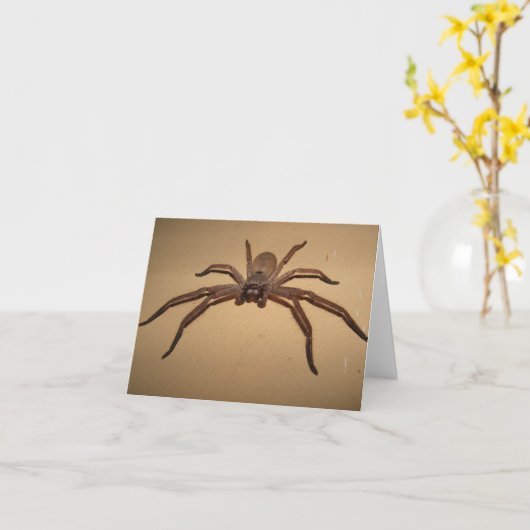 De Spin van Huntsman Kaart (Gele Bloem)