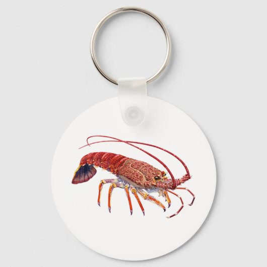 DE SPINEY SLEUTELHANGER (Voorkant)
