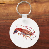 DE SPINEY SLEUTELHANGER (Voorkant)