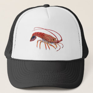 DE SPINEY TRUCKER PET