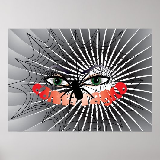 De spinnenvrouw / Poster (Voorkant)