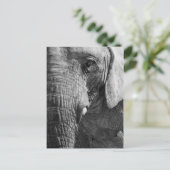 De Spion van het oog Briefkaart (Staand voorkant)