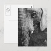 De Spion van het oog Briefkaart (Voorkant / Achterkant)