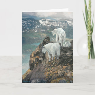 De Spionnen van Joshua nemen nota van Kaart