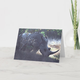 De Spionnen van Joshua nemen nota van Kaart