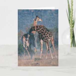 De Spionnen van Joshua nemen nota van Kaart