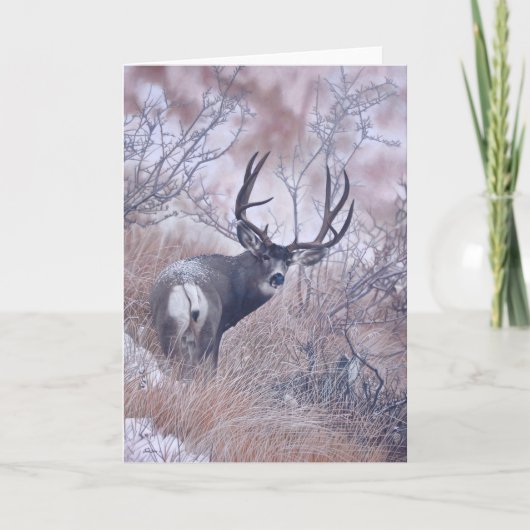 De Spionnen van Joshua nemen nota van Kaart (Voorkant)