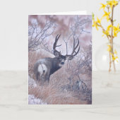 De Spionnen van Joshua nemen nota van Kaart (Gele Bloem)