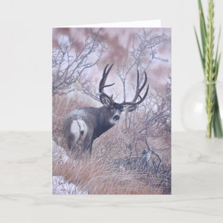 De Spionnen van Joshua nemen nota van Kaart