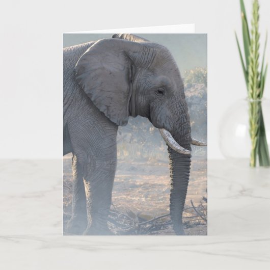 De Spionnen van Joshua nemen nota van Kaart (Voorkant)