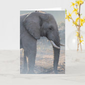 De Spionnen van Joshua nemen nota van Kaart (Gele Bloem)