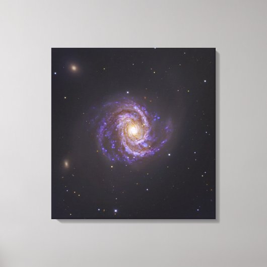 De Spiraal Galaxy M100 en Supernova SN2006X Canvas Afdruk (Voorkant)
