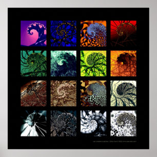 De spiraalvariaties poster