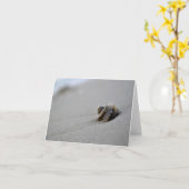 De spiraalvormige Kaart van de Nota van het Strand (Gele Bloem)