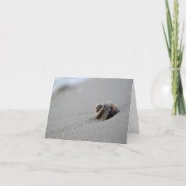 De spiraalvormige Kaart van de Nota van het Strand