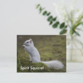De Spirit Eekhoorns van het Westen Briefkaart (Staand voorkant)