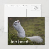 De Spirit Eekhoorns van het Westen Briefkaart (Voorkant / Achterkant)