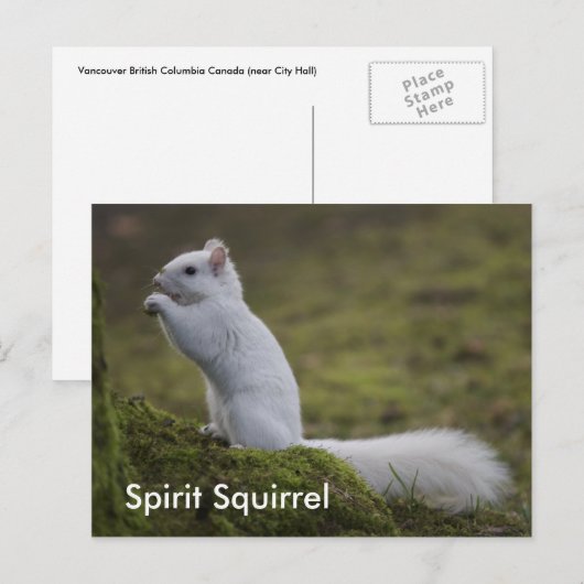 De Spirit Eekhoorns van het Westen Briefkaart (Voorkant / Achterkant)