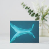 De Spleet van de beloega Briefkaart (Staand voorkant)