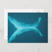 De Spleet van de beloega Briefkaart (Voorkant / Achterkant)