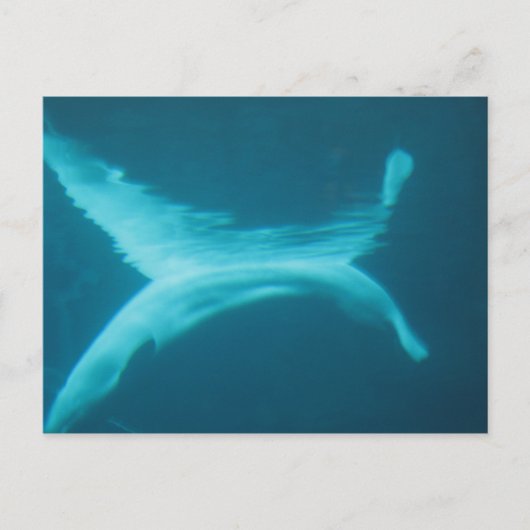 De Spleet van de beloega Briefkaart (Voorkant)