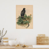 De spottende adelaar van Joseph Wolf Poster (Keuken)