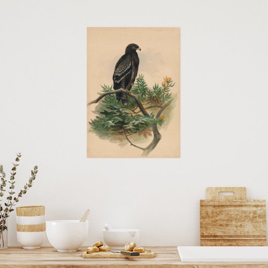 De spottende adelaar van Joseph Wolf Poster (Keuken)