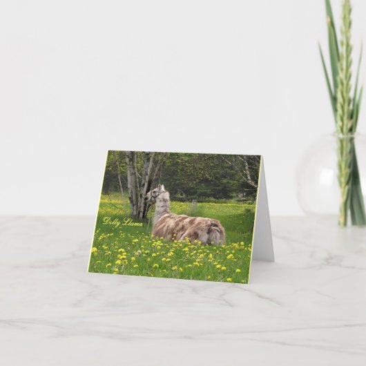 De sprekende Kaarten van de Lama (Voorkant)